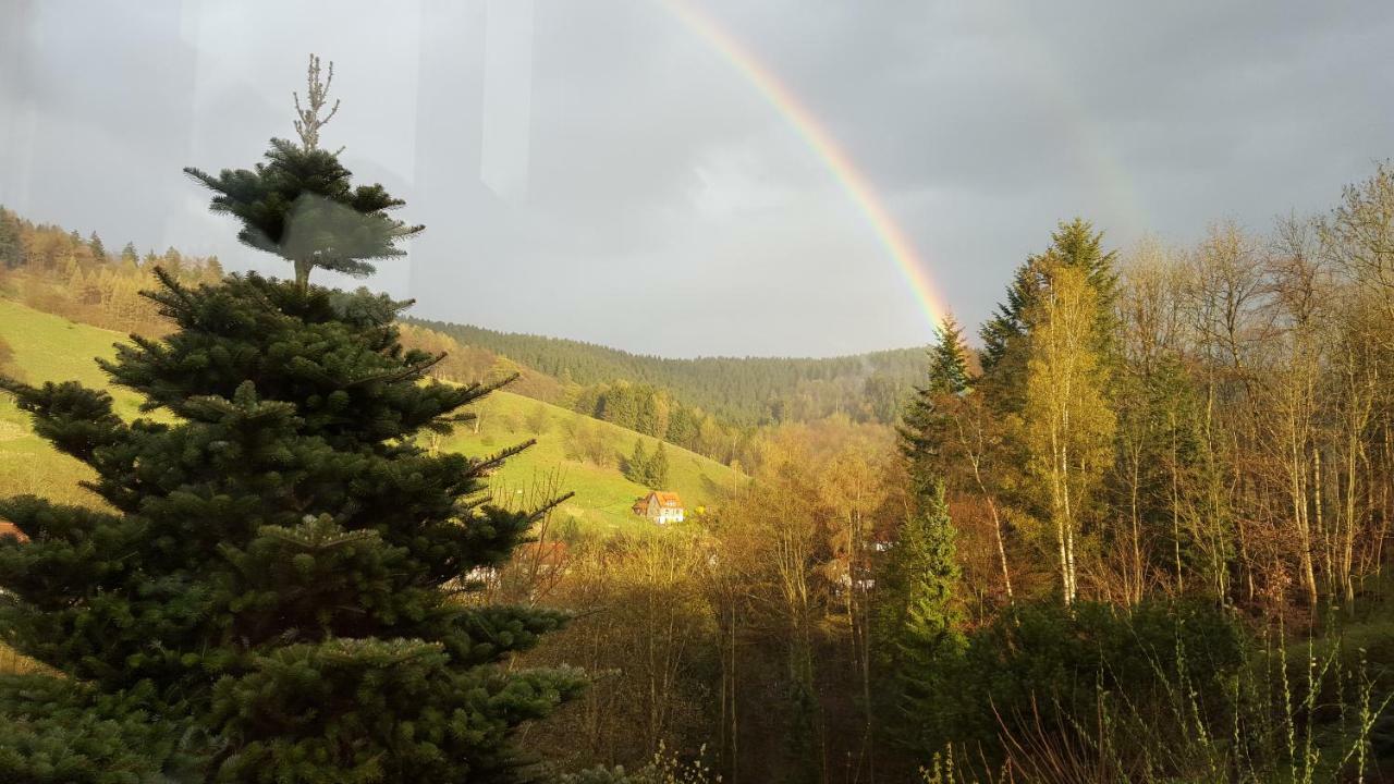 Fewo Bergblick Osterode am Harz Екстериор снимка